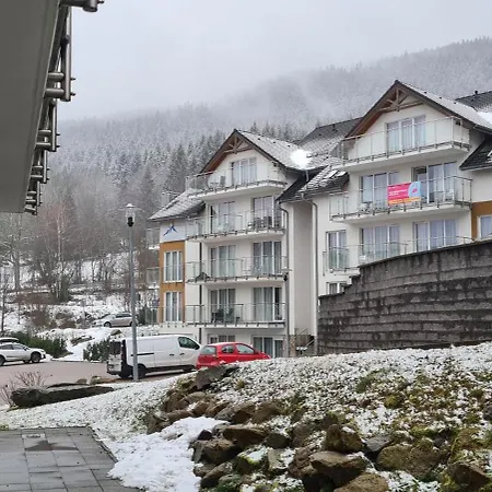 Apartment Czarna Gora Is 8 Sienna (Klodzko)